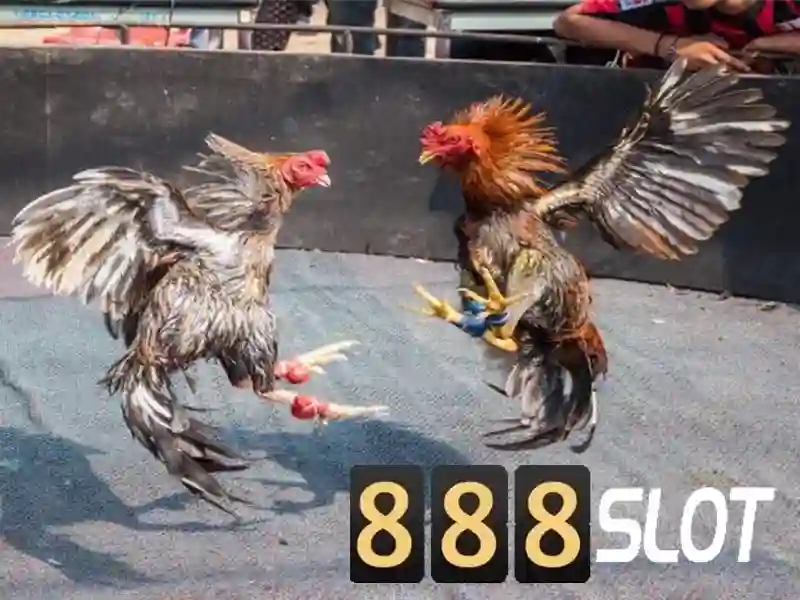 💎kèo nhà cái alo 20💎