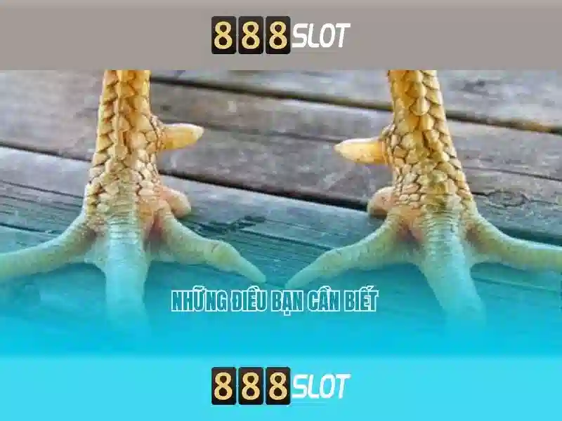 💎kèo nhà cái liverpool💎