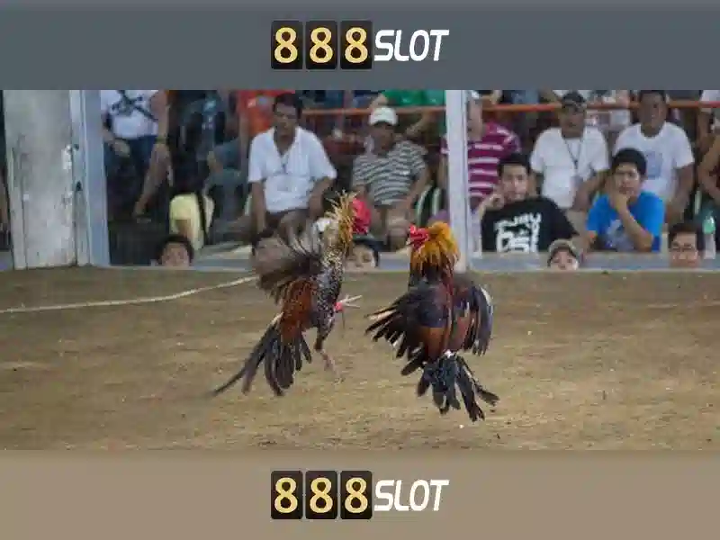 💎top 10 nha cái uy tín💎