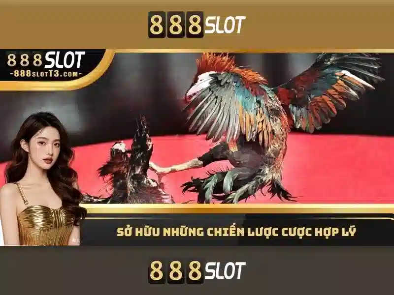  casino trực tuyến - 888slot