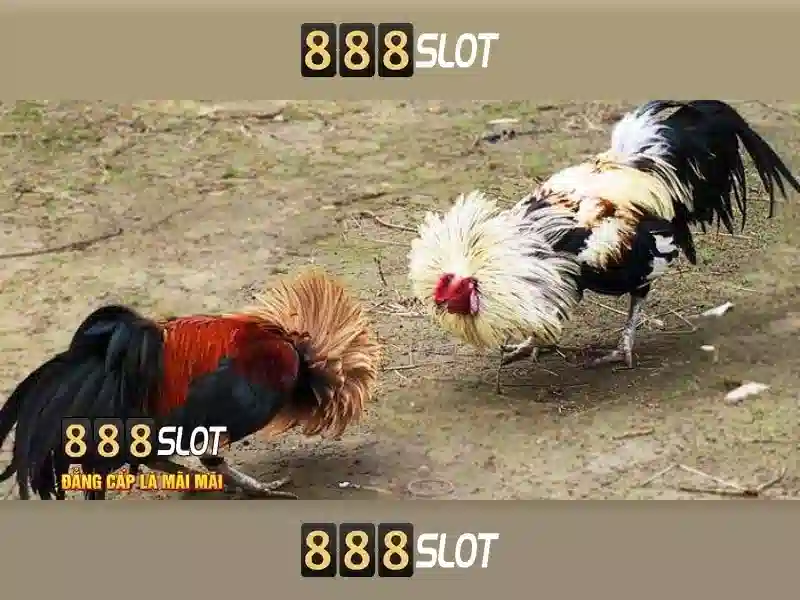 💎cách cá cược liên minh huyền thoại💎