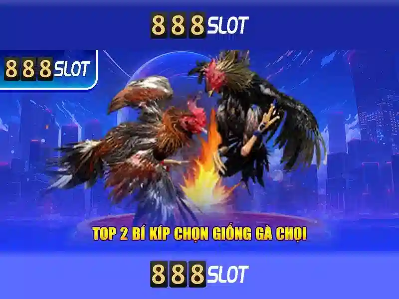 💎k88 vua nhà cái💎