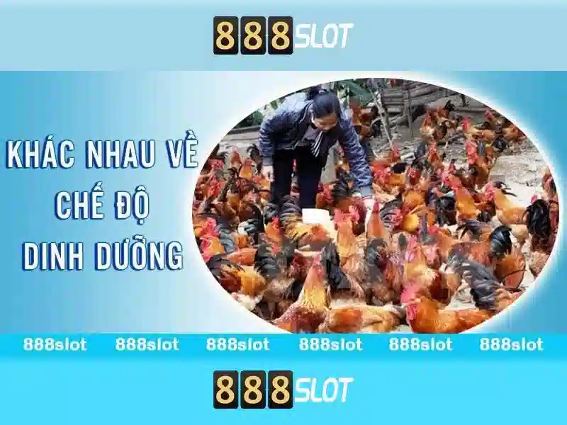 💎888 slot boom legend demo💎