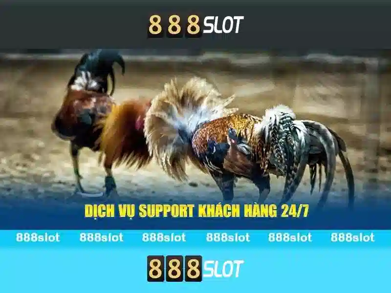 💎nha cai uy tín fan💎