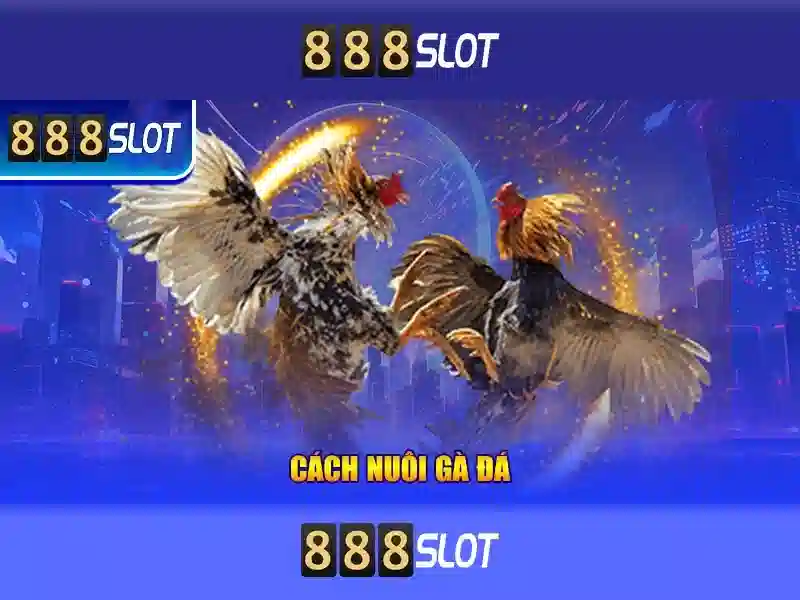 💎jb elah slots 2020💎