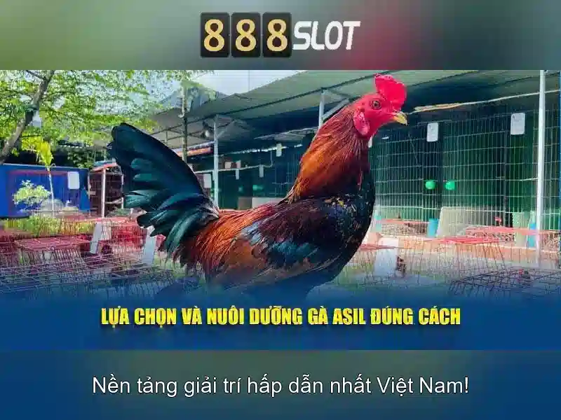 💎nhà cái uy tinh dev💎