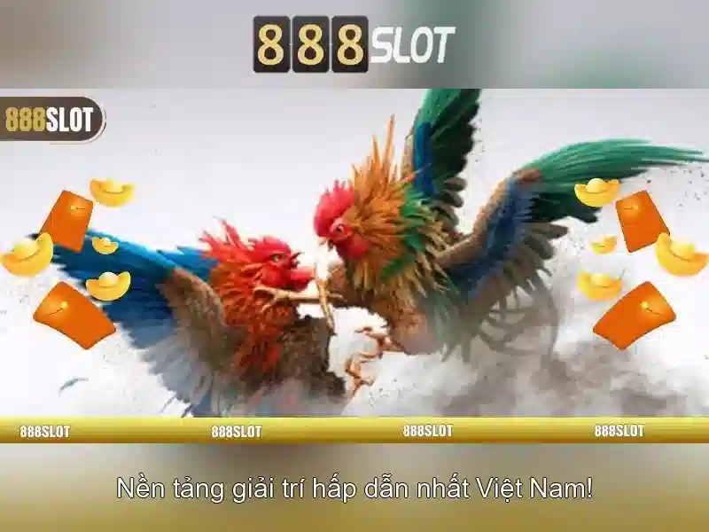 💎tl ca cuoc bd💎